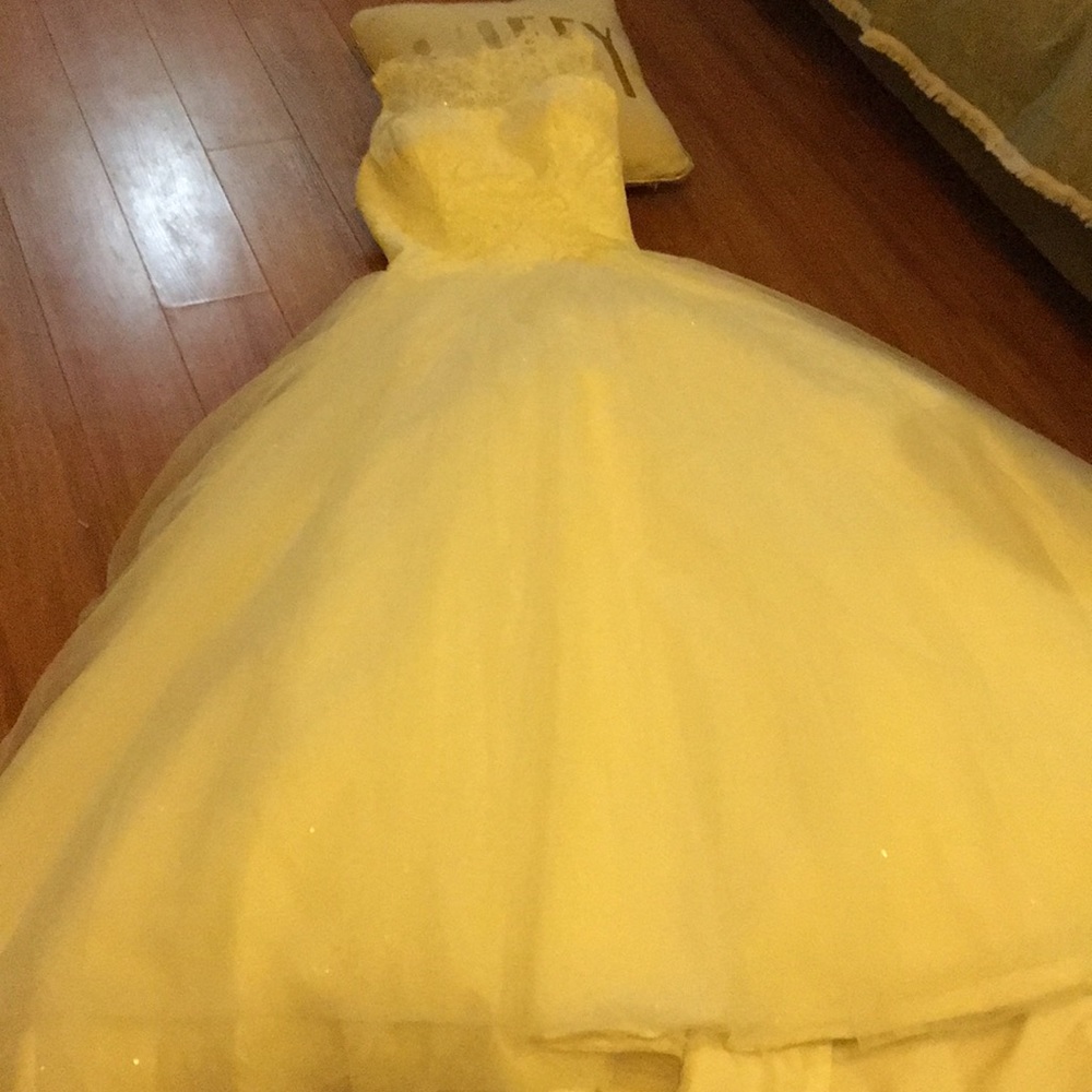 Wedding Gown by Say Yes to the dress’ David Tutera